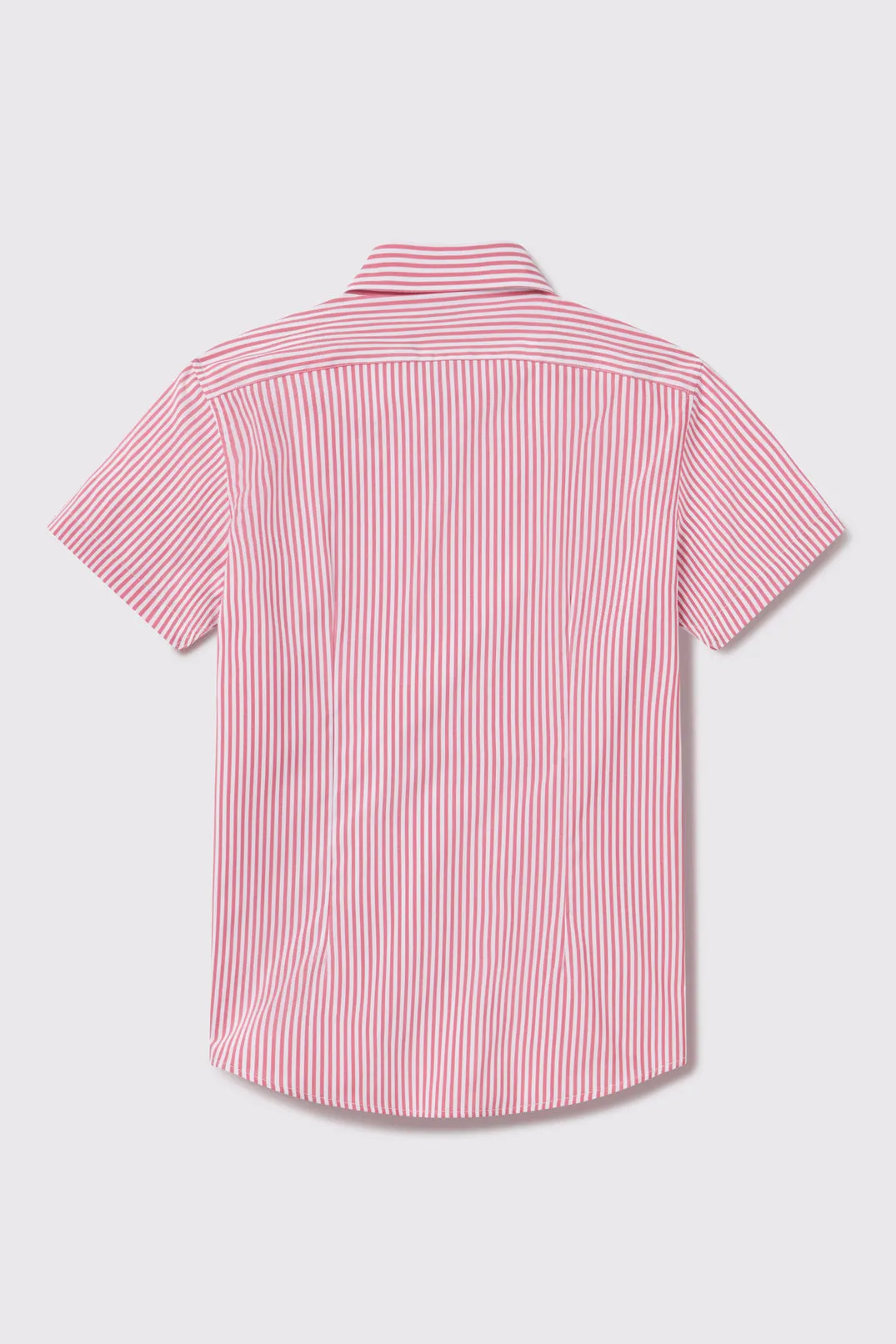 2023 Motive Short Sleeve Stripe
